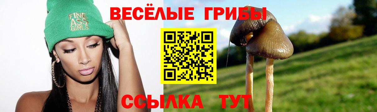 Галлюциногенные грибы мицелий  Вход с VPN  Киселёвск 